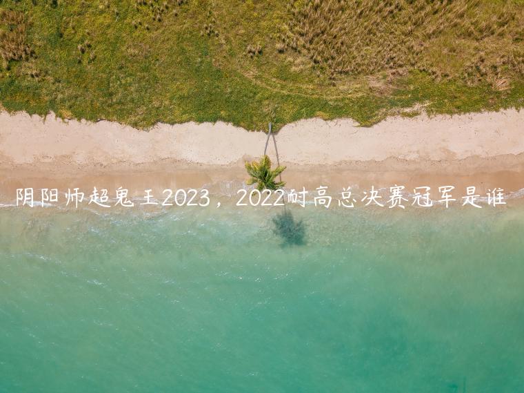 阴阳师超鬼王2023，2022耐高总决赛冠军是谁