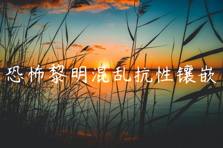 恐怖黎明混乱抗性镶嵌