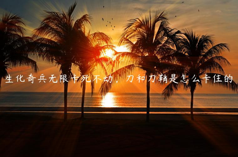 生化奇兵无限卡死不动，刀和刀鞘是怎么卡住的