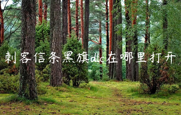 刺客信条黑旗dlc在哪里打开