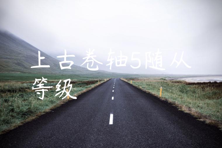 上古卷轴5随从等级