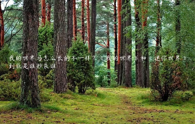 我的世界马怎么长的不一样？《我的世界》和《迷你世界》到底是谁抄袭谁