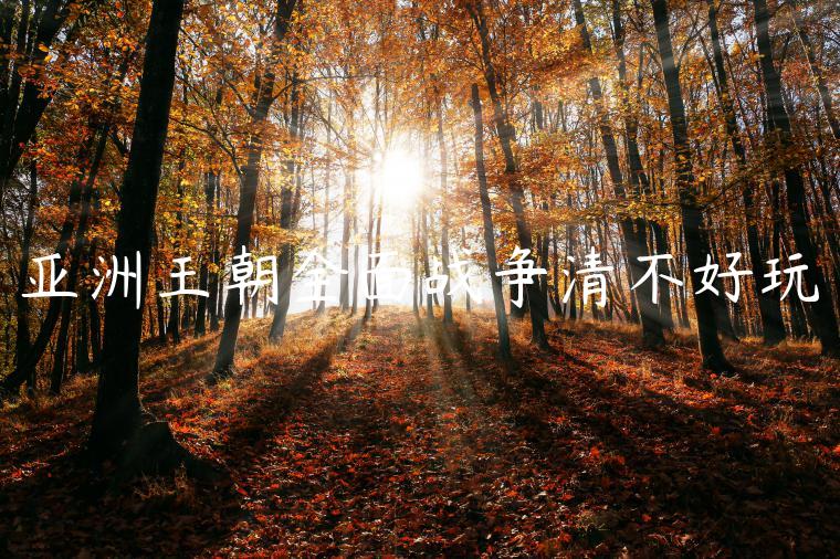 亚洲王朝全面战争清不好玩
