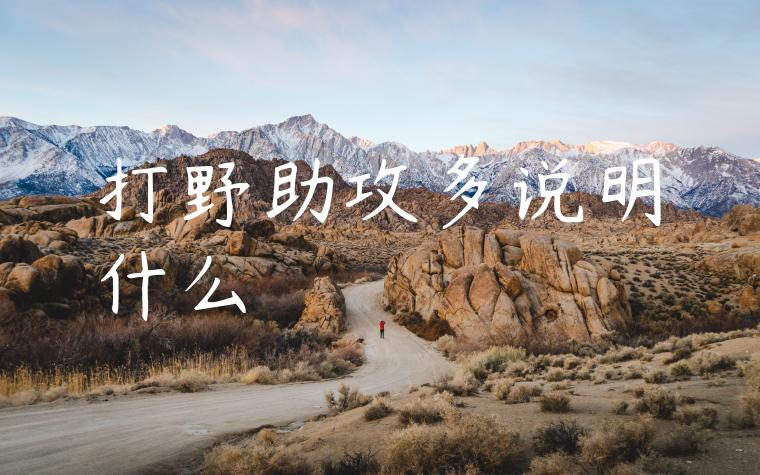 打野助攻多说明什么