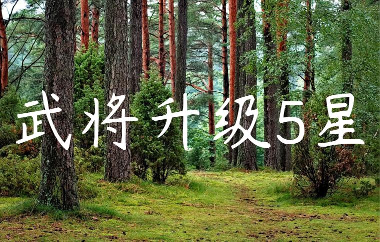 武将升级5星