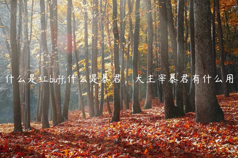 什么是红buff,什么是暴君，大主宰暴君有什么用