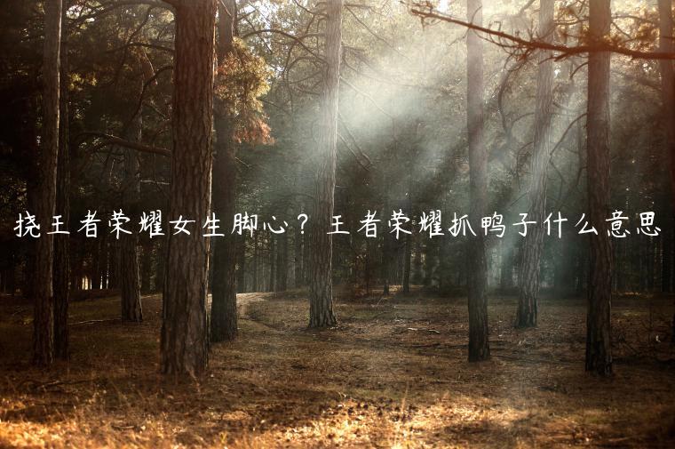 挠王者荣耀女生脚心？王者荣耀抓鸭子什么意思