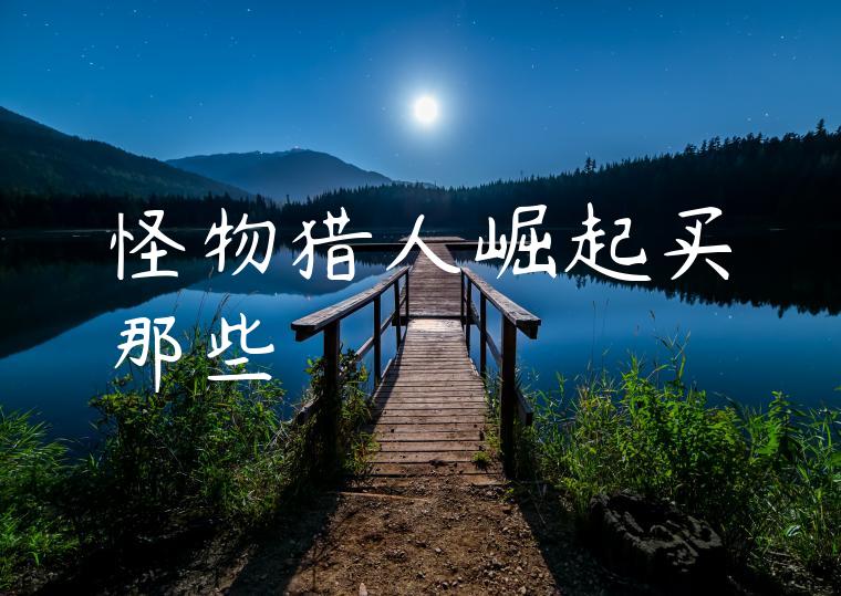 怪物猎人崛起买那些