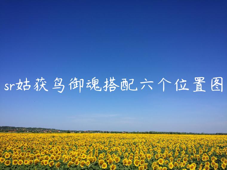 sr姑获鸟御魂搭配六个位置图