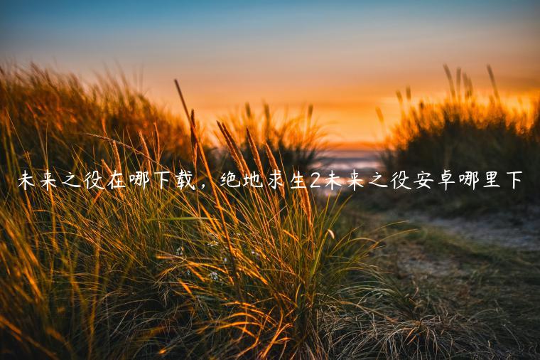 未来之役在哪下载，绝地求生2未来之役安卓哪里下