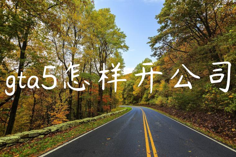 gta5怎样开公司