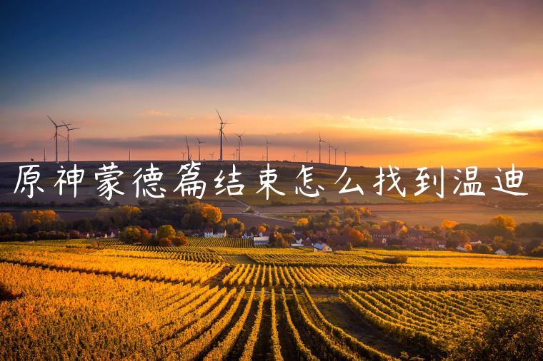 原神蒙德篇结束怎么找到温迪