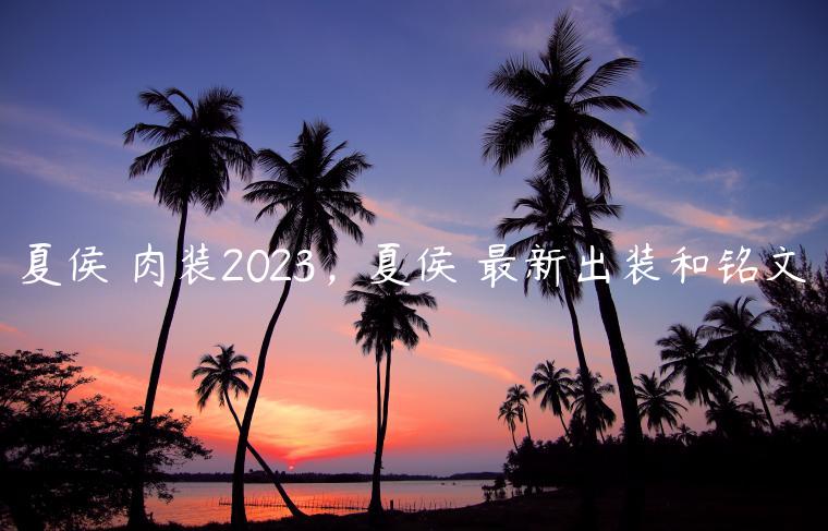 夏侯惇肉装2023，夏侯惇最新出装和铭文