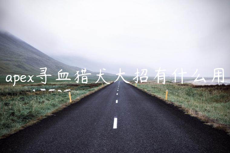 apex寻血猎犬大招有什么用