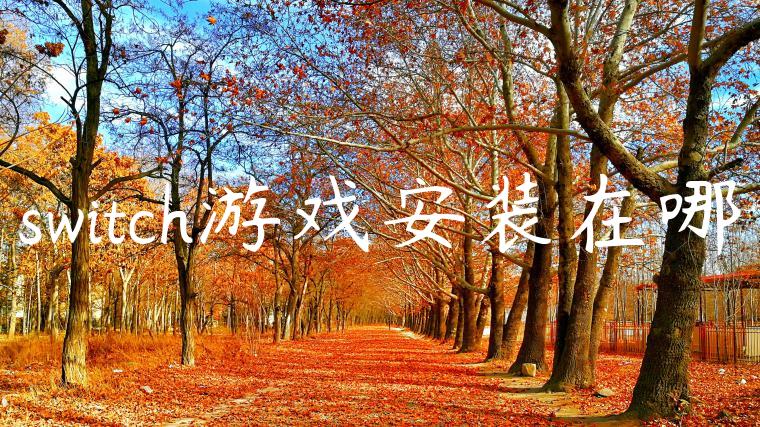 switch游戏安装在哪