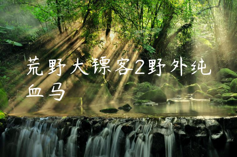 荒野大镖客2野外纯血马