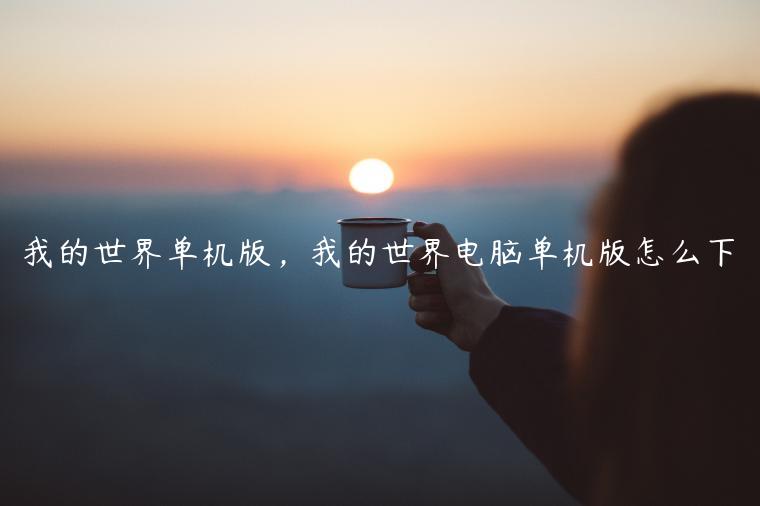 我的世界单机版，我的世界电脑单机版怎么下