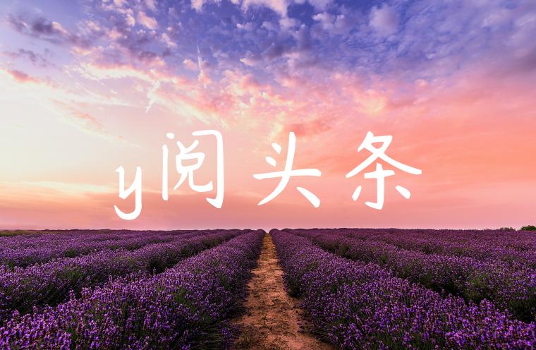 y阅头条