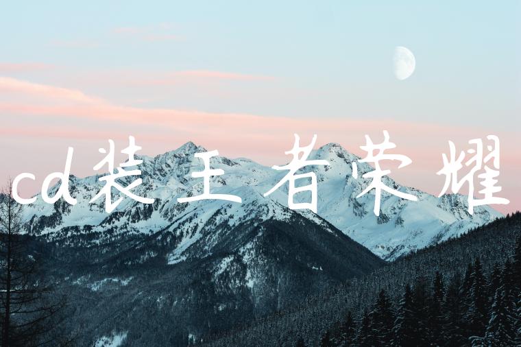 cd装王者荣耀