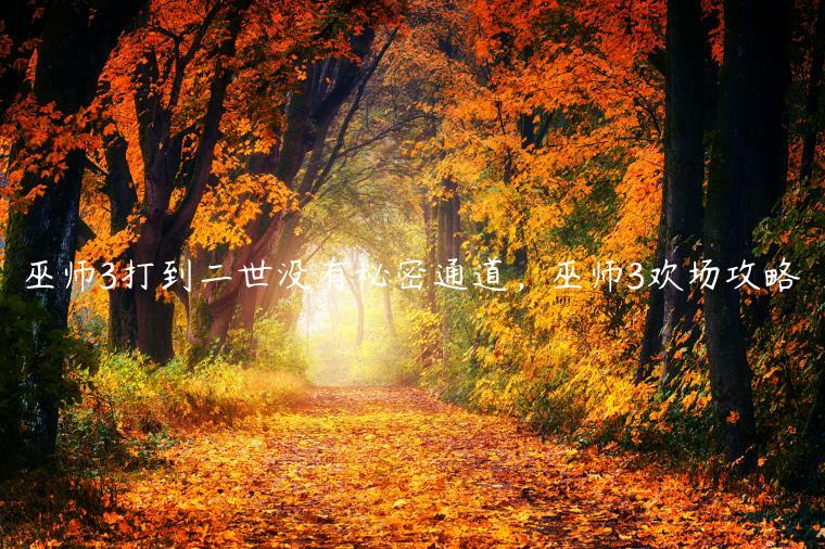 巫师3打到二世没有秘密通道，巫师3欢场攻略