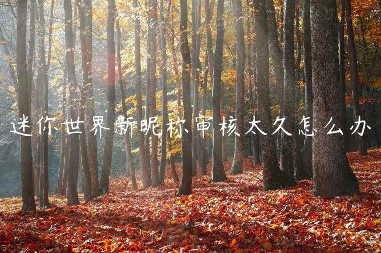 迷你世界新昵称审核太久怎么办