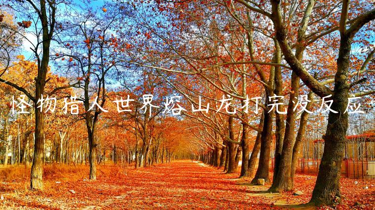 怪物猎人世界熔山龙打完没反应