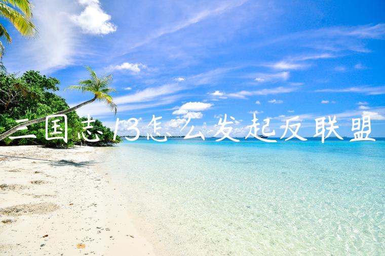三国志13怎么发起反联盟