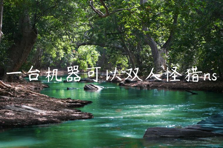 一台机器可以双人怪猎ns