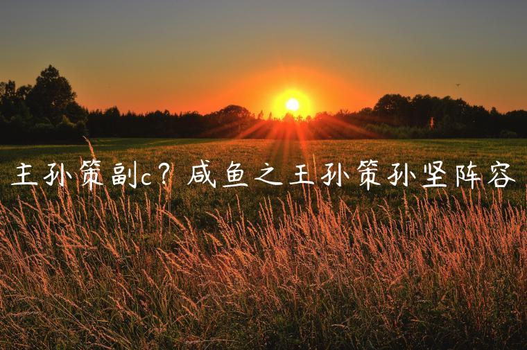 主孙策副c？咸鱼之王孙策孙坚阵容