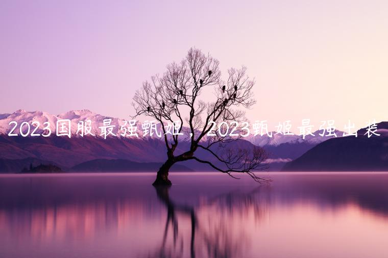 2023国服最强甄姬，2023甄姬最强出装
