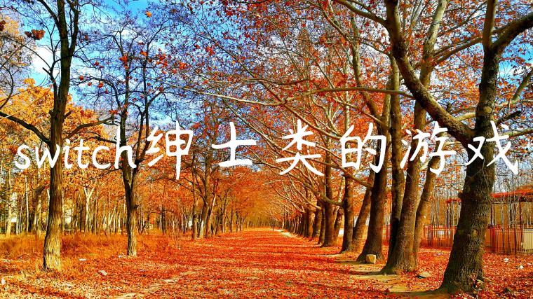 switch绅士类的游戏