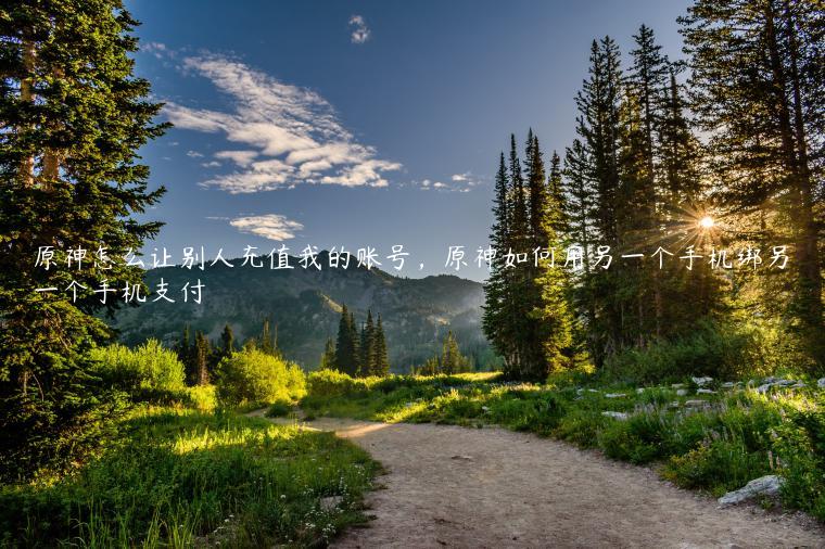 原神怎么让别人充值我的账号，原神如何用另一个手机绑另一个手机支付