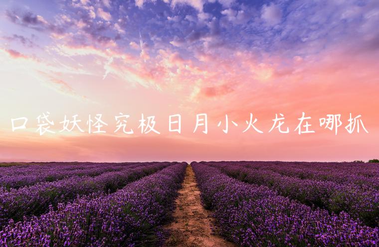 口袋妖怪究极日月小火龙在哪抓