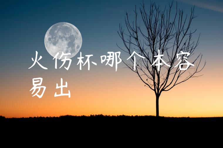 火伤杯哪个本容易出