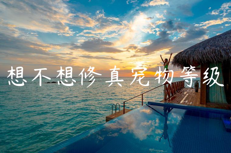 想不想修真宠物等级