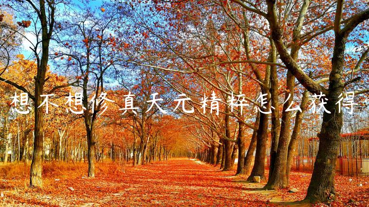 想不想修真天元精粹怎么获得