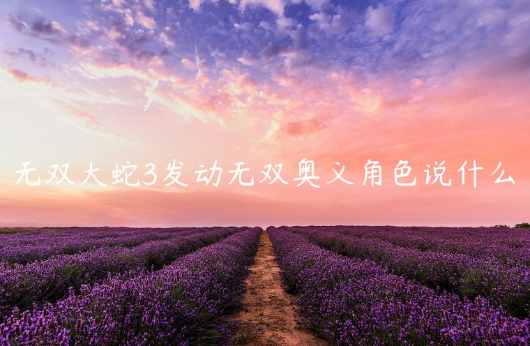 无双大蛇3发动无双奥义角色说什么