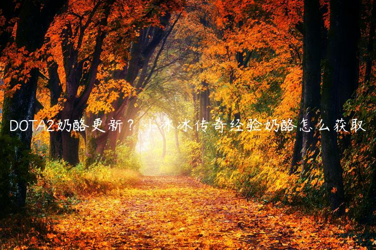 DOTA2奶酪更新？小冰冰传奇经验奶酪怎么获取