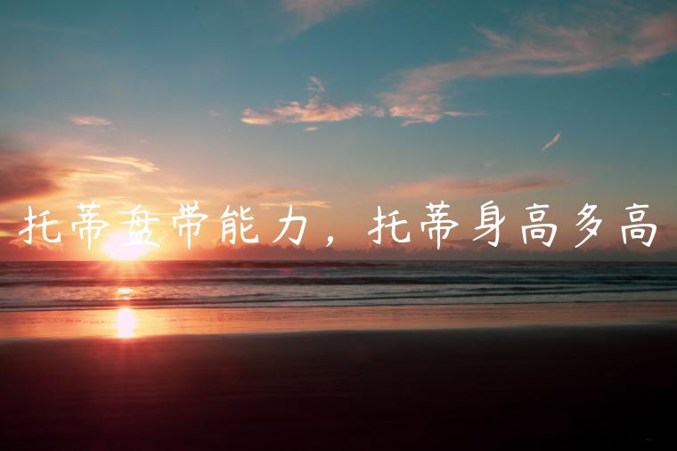 托蒂盘带能力，托蒂身高多高