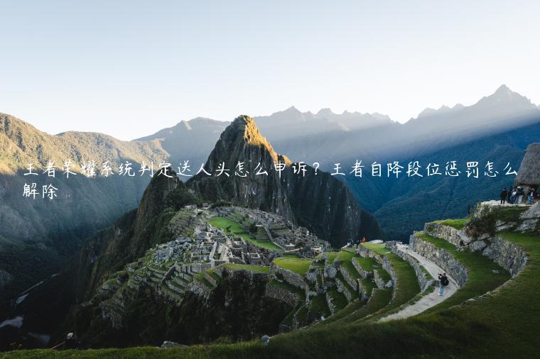 王者荣耀系统判定送人头怎么申诉？王者自降段位惩罚怎么解除