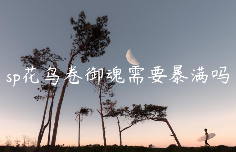 sp花鸟卷御魂需要暴满吗