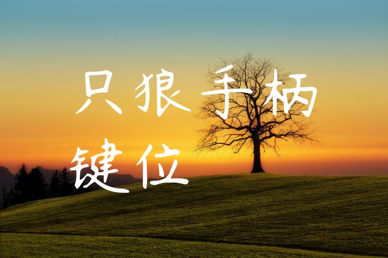 只狼手柄键位