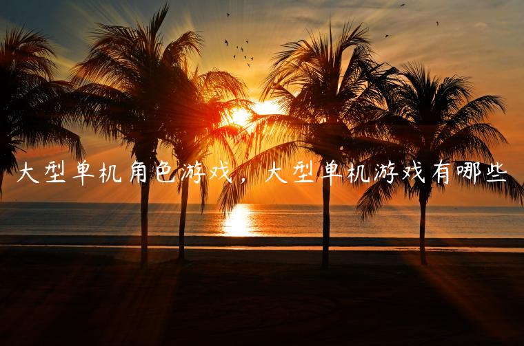 大型单机角色游戏，大型单机游戏有哪些