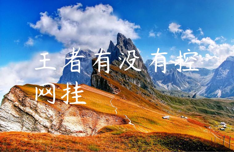 王者有没有控网挂