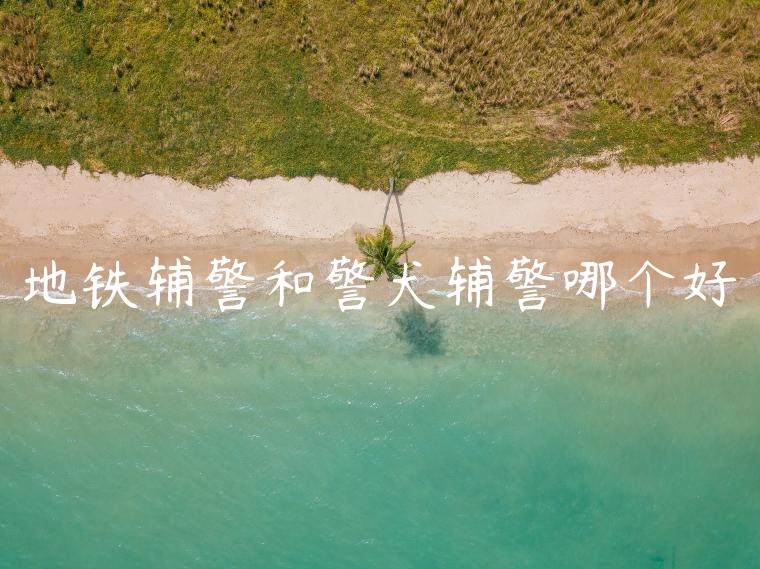 地铁辅警和警犬辅警哪个好
