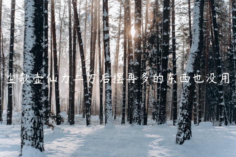 尘歌壶仙力二万后摆再多的东西也没用