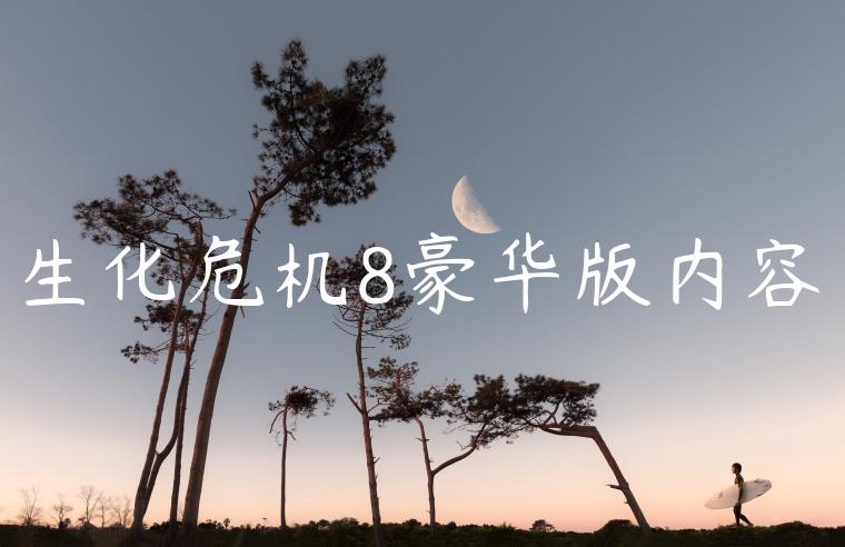 生化危机8豪华版内容