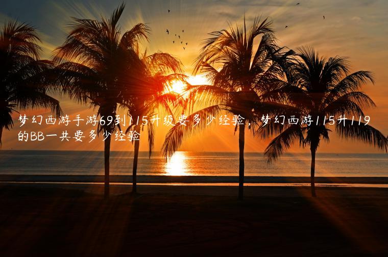 梦幻西游手游69到115升级要多少经验，梦幻西游115升119的BB一共要多少经验