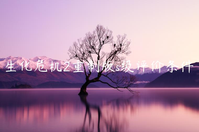 生化危机2重制版s级评价条件