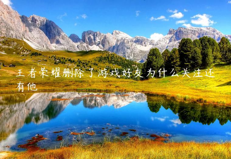王者荣耀删除了游戏好友为什么关注还有他